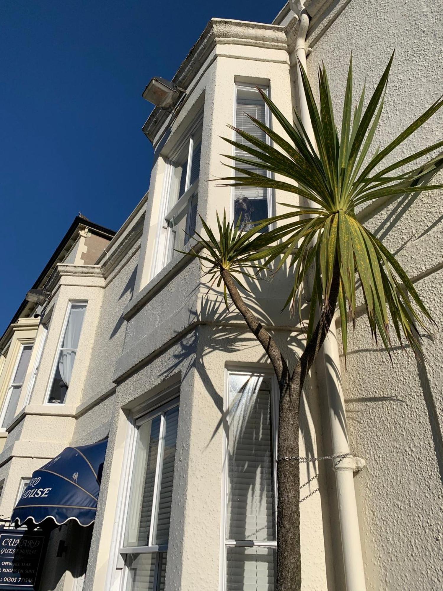 Cunard Guest House Weymouth Exteriér fotografie